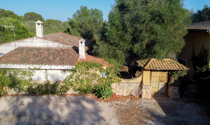 foto4